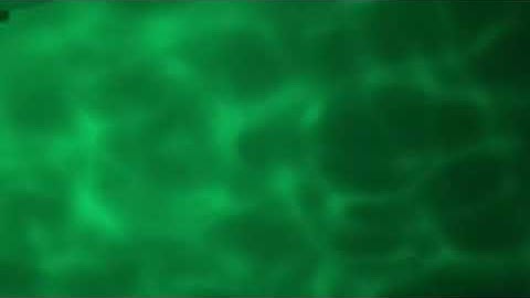 Jamuary 29, 2021: More Pure Acid