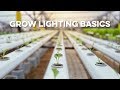 Grow Lighting Basics - All Grow Lighting Compared Education | Best Grow Light Grow Indoor Greenhouse