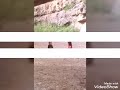 ملعب تالبه فيصل طه الجبرتي
