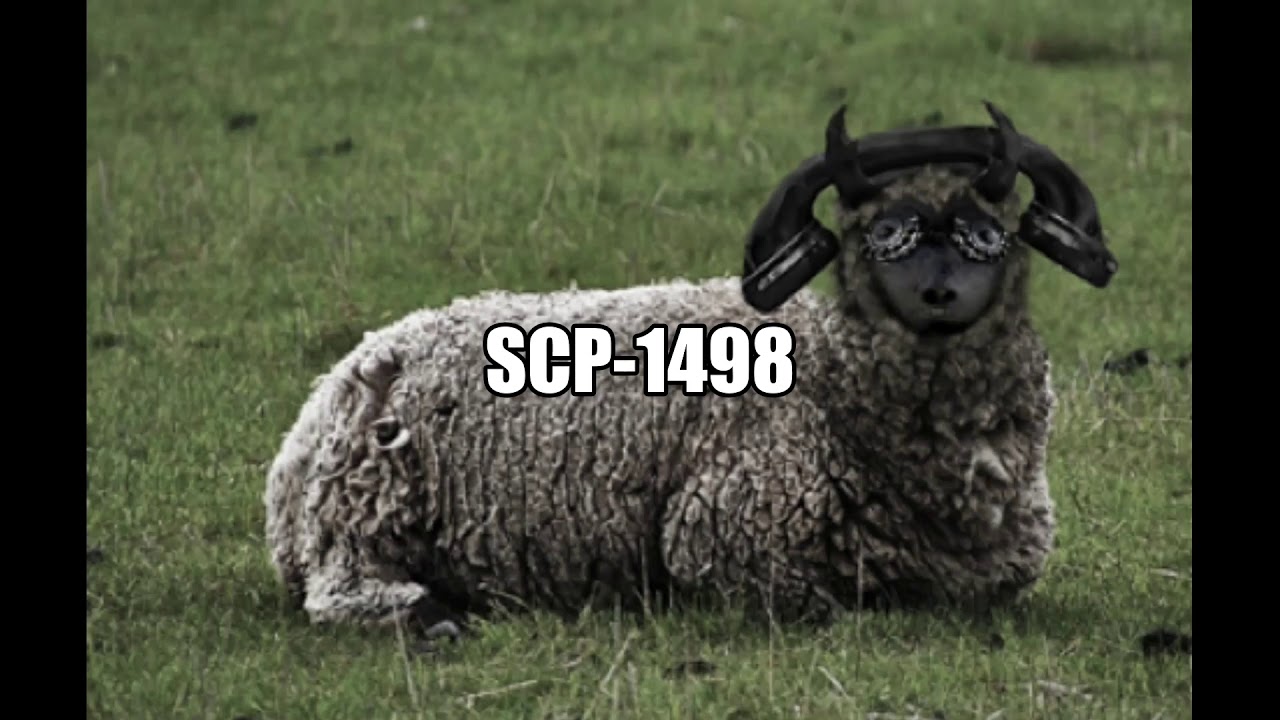 Full article: http://www.scp-wiki.net/scp-1498.