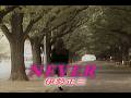 (カラオケ)NEVER / 伊勢正三