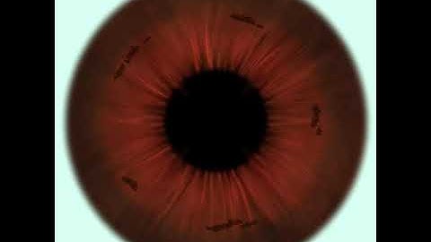 How to draw realistic Eye in Procreate