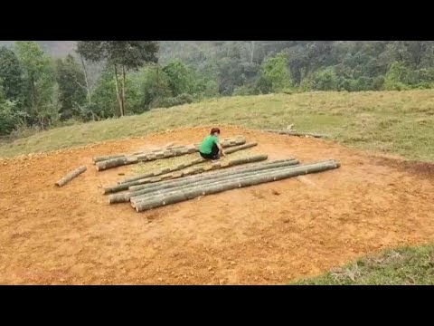 The girl built a new bamboo house in the forest alone. - YouTube