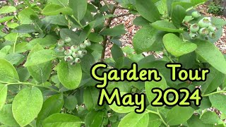 Garden Tour ~ May 2024 ~ Backyard Veggie Garden ~ Raised Beds @KatieCooksandCrafts
