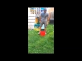 Ice Bucket Challenge for ALS - Trick on you... Trick on me!