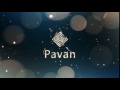 Pavan logo