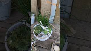 Морская тематика + цветы = 💥Это не просто кашпо, это настроение #цветы #diy  #идеи #shorts #flowers