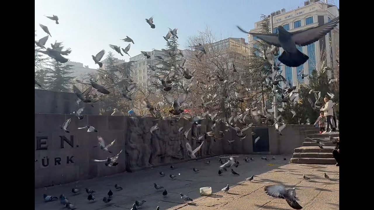 Walking Tour in Ankara Kızılay | Güvenpark, Monument & Pigeons | Relaxing City Walk 4K