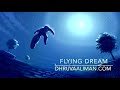 Flying Dream ~ Dhruva Aliman ~ Trance, Electronica