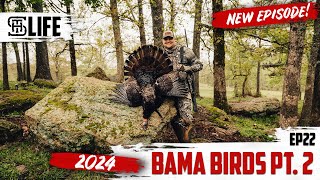 Alabama longboard right off the roost | Smalltown Life Season 6 Ep.22 Bama Birds Pt.2