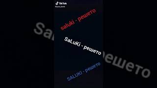 SaLuKi - решето
