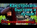 Начало знаменитых виноградников Блогеровки. Эксперимент с леской для триммера.