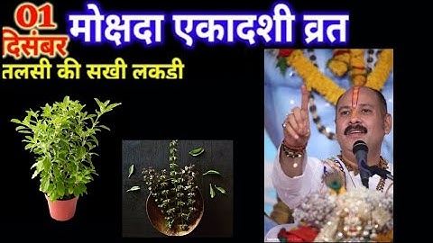 1 दिसंबर सोमवारमोक्षदा एकादशी व्रत वाले दिन तुलसी की सुखी लकड़ी वाला उपाय जरूर करें