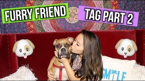 The Furry Friend Tag PART 2