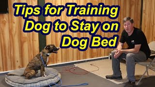 Train dog to stay on dog bed withThese Tips by My Dog Training Spot 1,691 views 3 years ago 5 minutes, 17 seconds