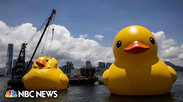 Giant inflatable duck deflates in Hong Kong’s Victoria Harbor