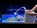 Unboxing Corals for my Saltwater Aquarium - Shallow Coral Reef Tank