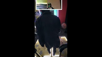 【DDR WORLD】【WAVE razer zephyr】　#DDR #DDR WORLD #BEMANI #razer  町田ラウンドワン　20251120 4