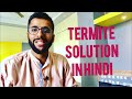 what is termite and its solution in hindi