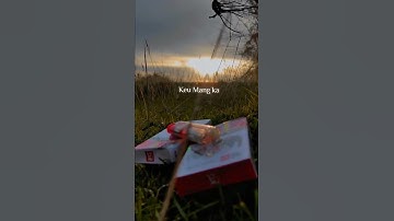 Thumbnail of lagu Apache buat story'wa LAELA O LAELA