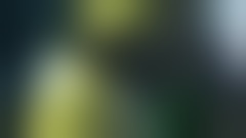 「テール　しっぽのある美女」予告