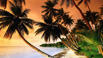 Beautiful Tropical Music & Caribbean Music & Hawaiian Music - Island Paradise 🌴