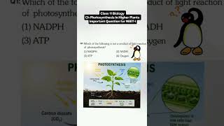 MCQ Biology NEET ##neetpreparation #pyqs #mcqs #objective #objective biology questions #biology #pyq