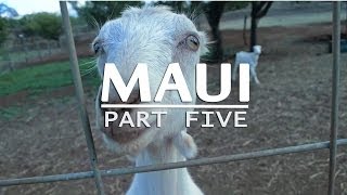 Travel Guide to Maui, Hawaii (Part 5)