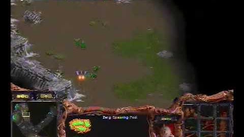 WCG 2008 Grand Final StarCraft ToT)ret( vs n.Die_Jaedong