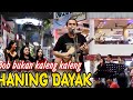 🔴Bob tapau lagu Haning dayak kalimantan✅||penonton full Germany Indonesia Malaysia✅