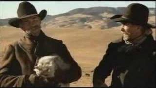 cat herding commercial