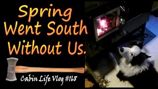 Our Off Grid Life.  Spring Went South Without Us.  A Backwoods Living Vlog.