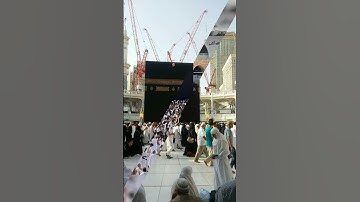 #beautiful #سورة_الإخلاص #ikhlas #makkah #madina