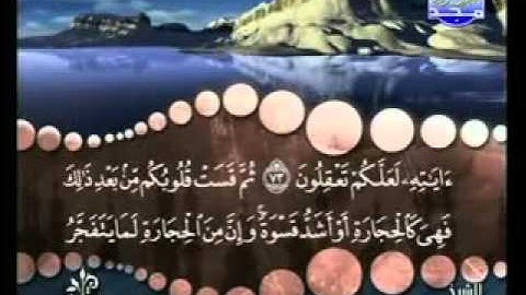 سورة البقرة من آية 72  إلى آية 74