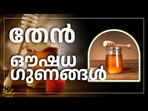 തേനിന്റെ 10  ഔഷധ ഗുണങ്ങൾ | തേനിന്റെ  ചില സവിശേഷ ഗുണങ്ങൾ  | Video #34