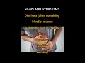 Shigella Infection Shigellosis Symptoms Prevention Shigella Infection Shigellosis Symptoms Prevention