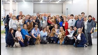 2019 Интернациональная выставка собак CACIB – FCI «Мемориал А.П.Мазовера» 2019 Интернациональная выставка собак CACIB – FCI «Мемориал А.П.Мазовера»
