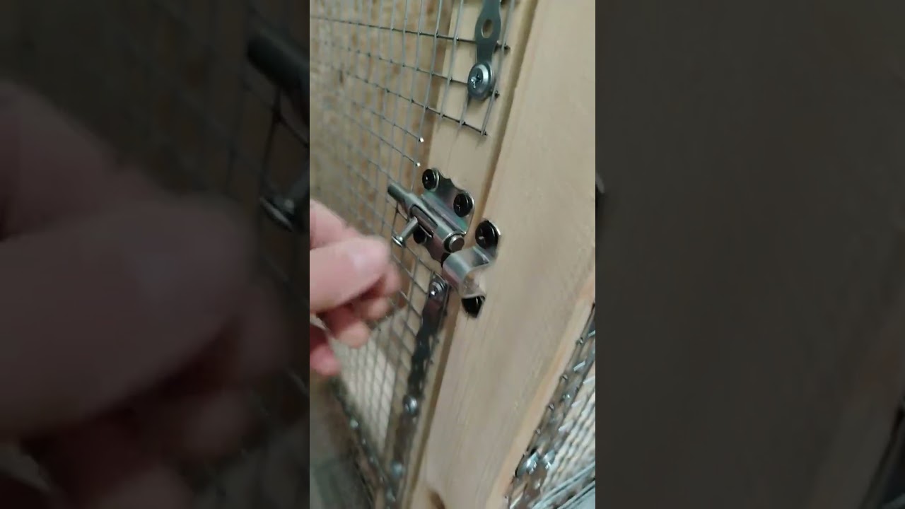 построили для Тинки её комнату. Она оценила. 