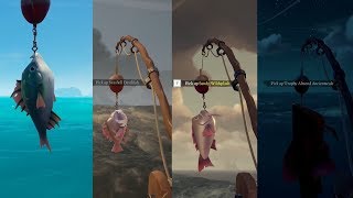 Sea Of Thieves Part 2 - Fishing Devilfish Battlegill Wildsplash Ancientscale