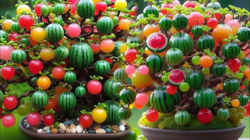 easy and fast techniques for propagating and growing watermelon trees #garden #fruits #nature