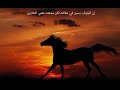 نشيد يا أمة النصر انشاد ابو أسيد نشيد يا أمة النصر انشاد ابو أسيد