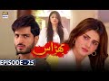 Bharaas Episode 25 - 23rd November 2020 - ARY Digital Drama