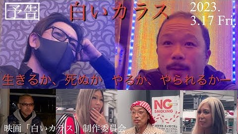 映画「白いカラス」予告最新版