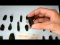 Moldavites from the Czech Republic