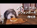 犬おやつ手作りレシピ｜バナナシフォンケーキの作り方【もふ飯】