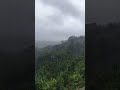 Soothing Rain #monsoon #rain #rainsounds #travel #westernghats #forest #nature