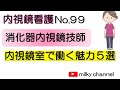 No99　これでわかる　新人看護師必見！　内視鏡看護　消化器内視鏡技師　内視鏡室で働く魅力５選