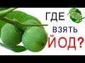 ГДЕ ВЗЯТЬ ОРГАНИЧЕСКИЙ ЙОД? /  ЩИТОВИДНАЯ ЖЕЛЕЗА