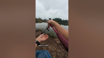 vượt xa xa 4 con rồi đó kkk #giadinhnhagiao#giaothichcauca #nhaihoivitbauGT1