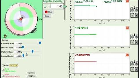 Ladybug Activity: Verify Angular Momentum is Conserved